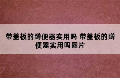 带盖板的蹲便器实用吗 带盖板的蹲便器实用吗图片